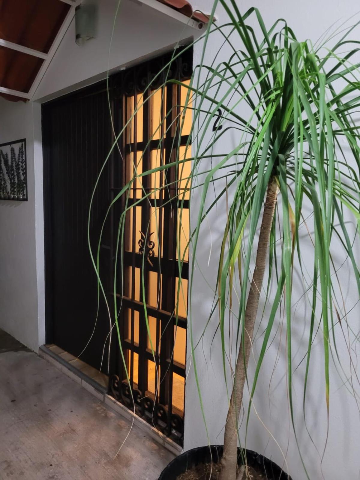 Ferienwohnung Casa B & L Centrico Departamento Oaxaca Exterior foto
